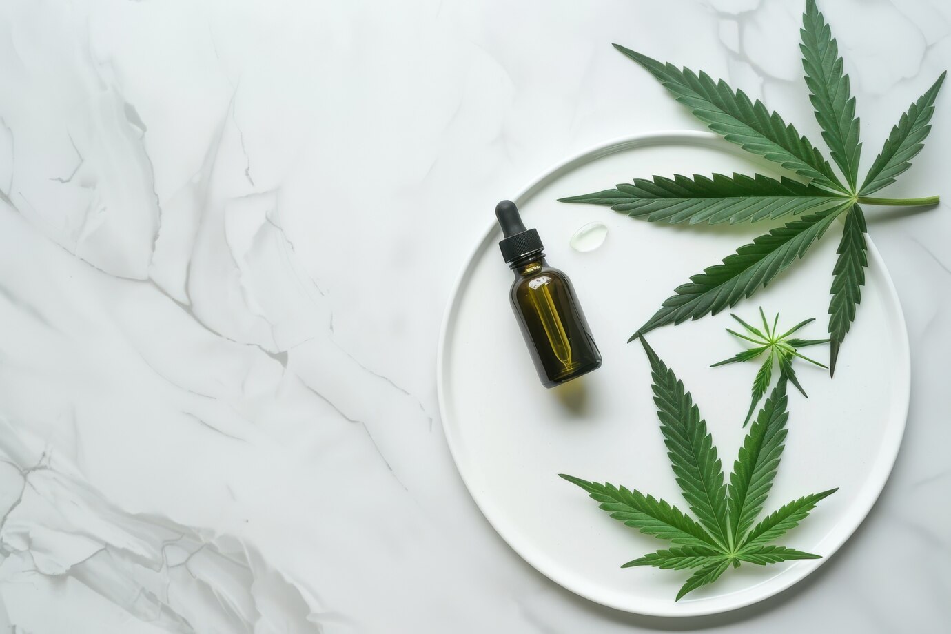 A small dropper bottle with CBD oil sits on a white plate alongside three cannabis leaves, all placed on a white marble surface—an ideal image for marketing for CBD brands.