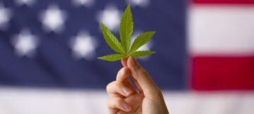 CBD Ads on Facebook in USA