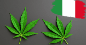 Italy’s 2025 CBD Crackdown 