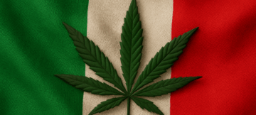 Italy’s 2025 CBD Crackdown